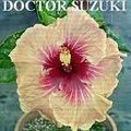 DoctorSuzuki.jpg