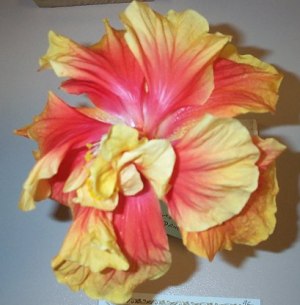Flamenco_Dancer.jpg