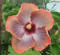 Fifth_Dimension.JPG