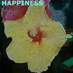 Happiness2.jpg