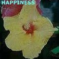 Happiness2.jpg