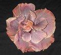 Marjory_June2.JPG