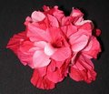 Pink_Bouquet3.jpg