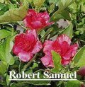 Robert_Samuel.jpg