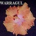 Warragul.jpg